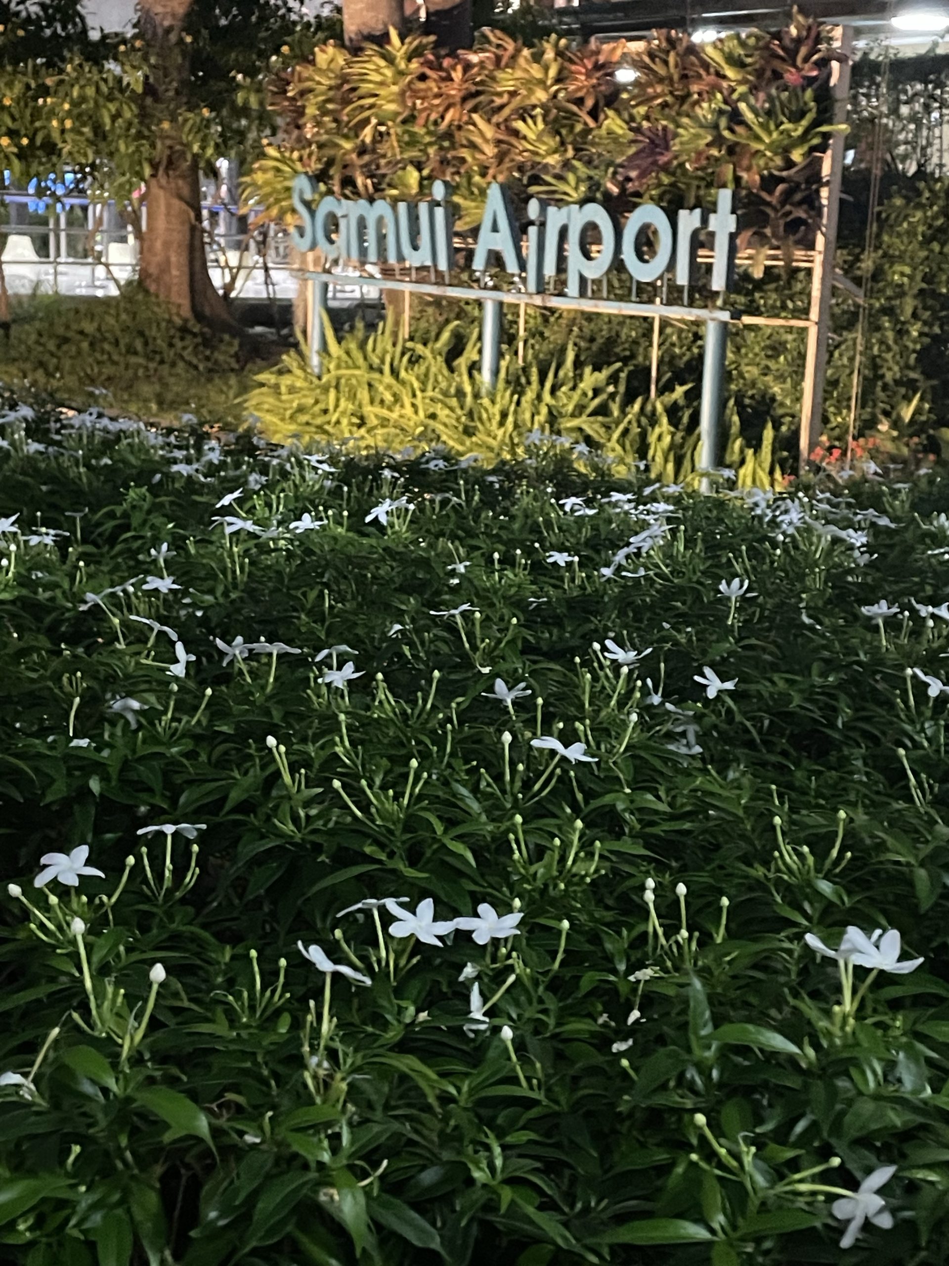 Koh Samui – AKA PARADISE ON EARTH