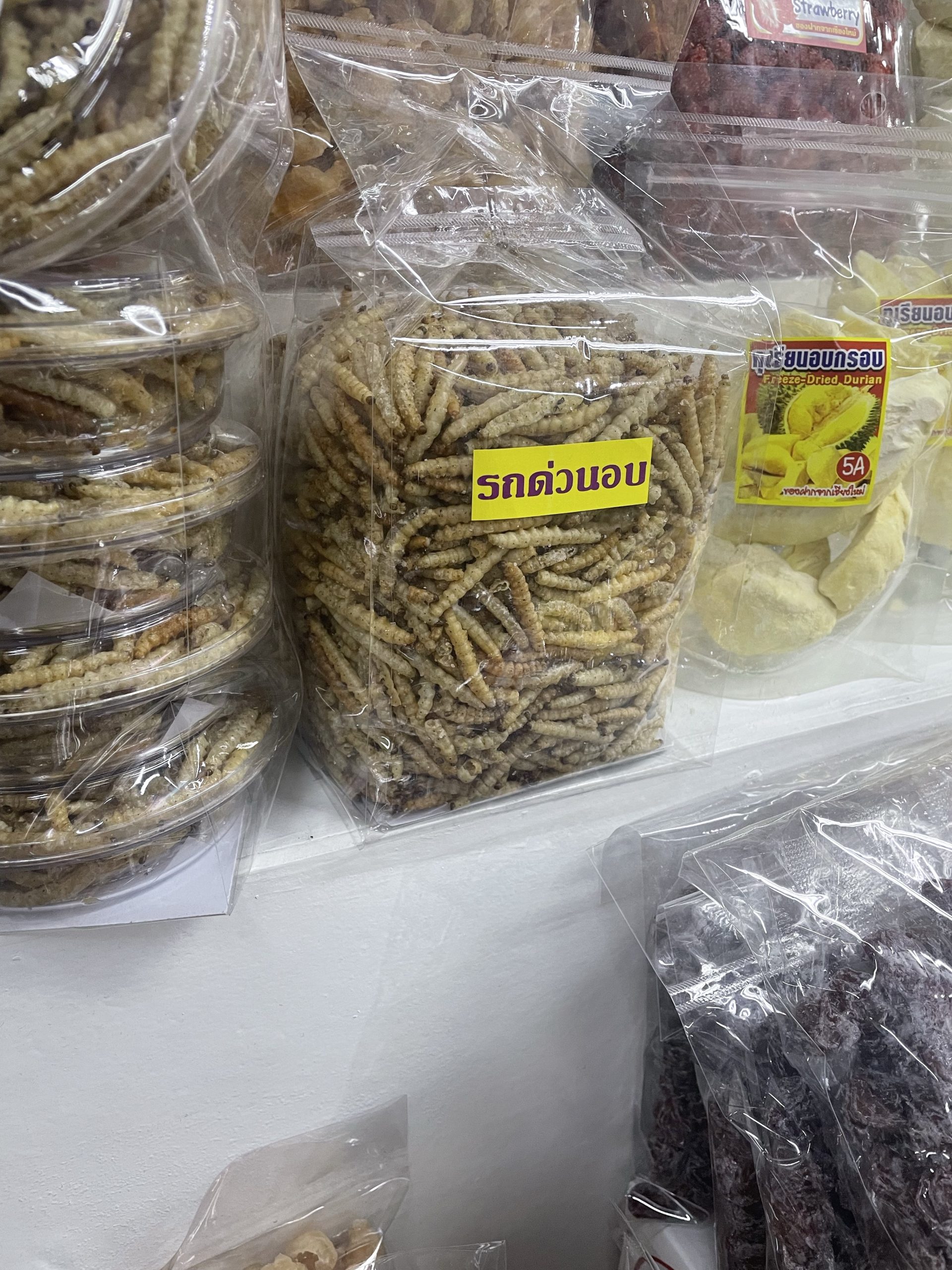Chiang Mai Adventures
